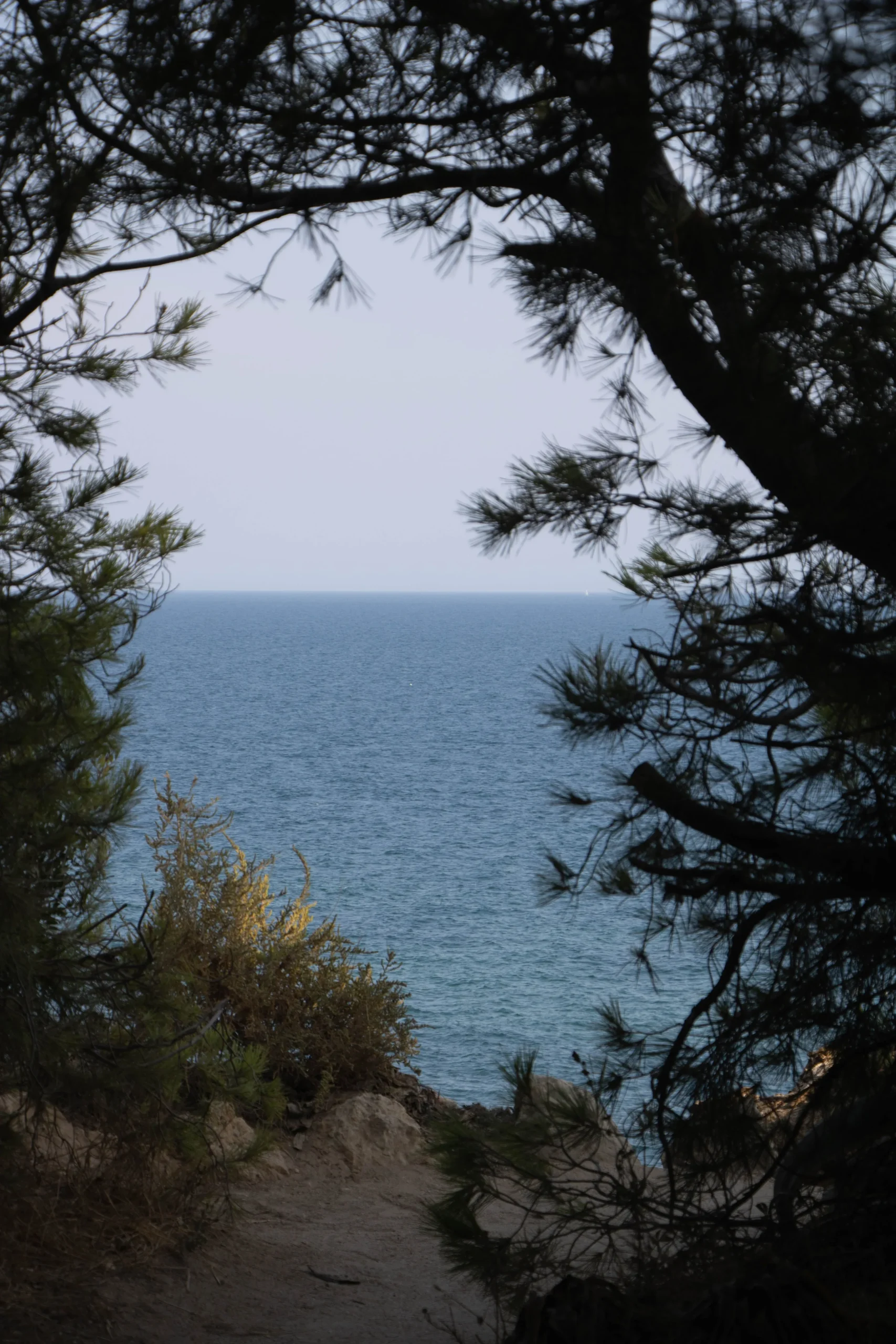 View from the Family Shore Suite